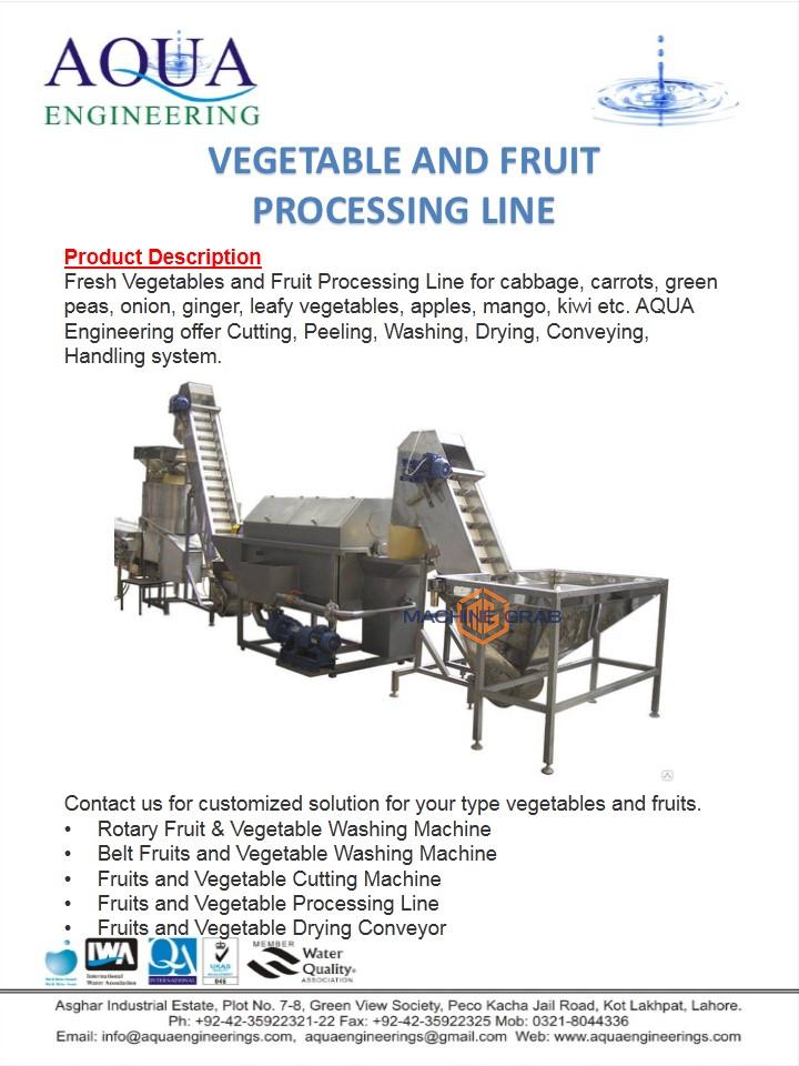 Vegetable and Fruit Processing Line