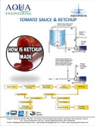 Tomato Sauce Ketchup 