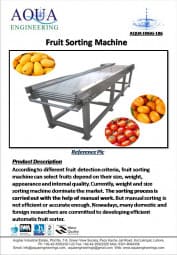 Fruit Sorting Machine