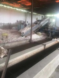 ldpe production line